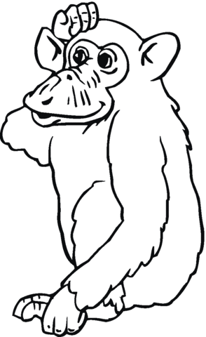 Chimpanzee  Coloring Page